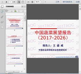 国产27页,深度解析中国电影产业的新篇章 第1张 国产27页,深度解析中国电影产业的新篇章 第1张